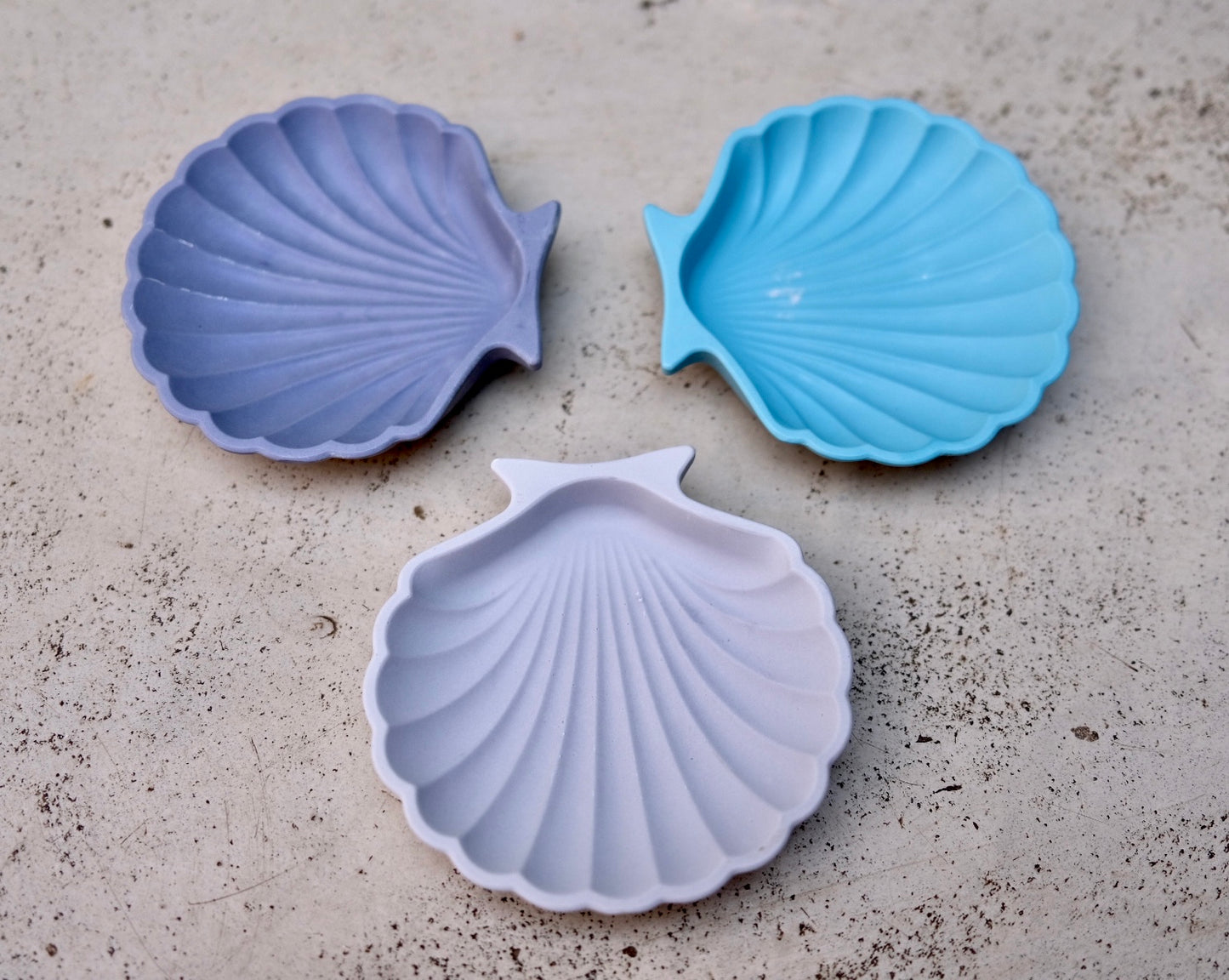 Shell Trinket Dish